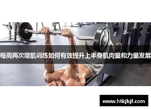 每周两次增肌训练如何有效提升上半身肌肉量和力量发展