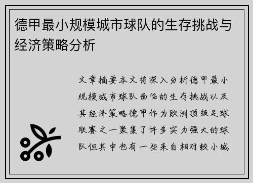 德甲最小规模城市球队的生存挑战与经济策略分析